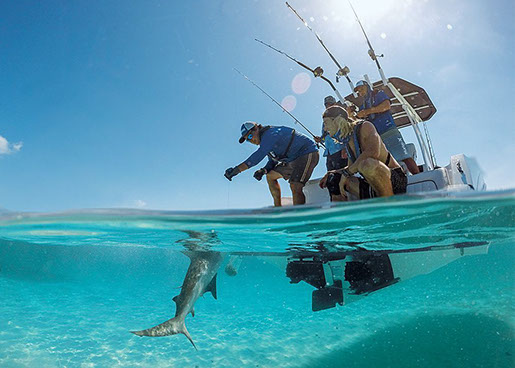 Highborne Fishing bahamas private yacht miami ft lauderdale